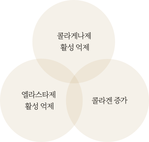 이너시그널 한국오츠카